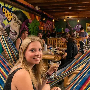  Auberge de jeunesse Purple Monkey